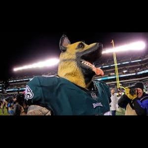 Meet your Posher, Pedro